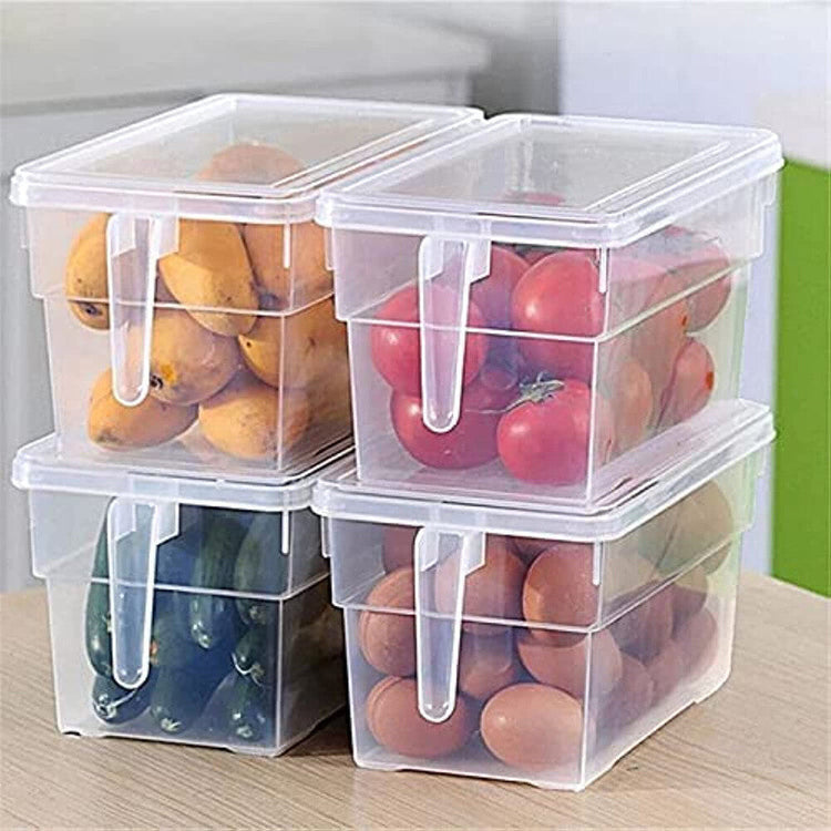 Plastic Containers & Boxes